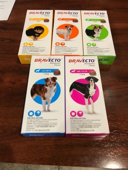 Bravecto for Dogs