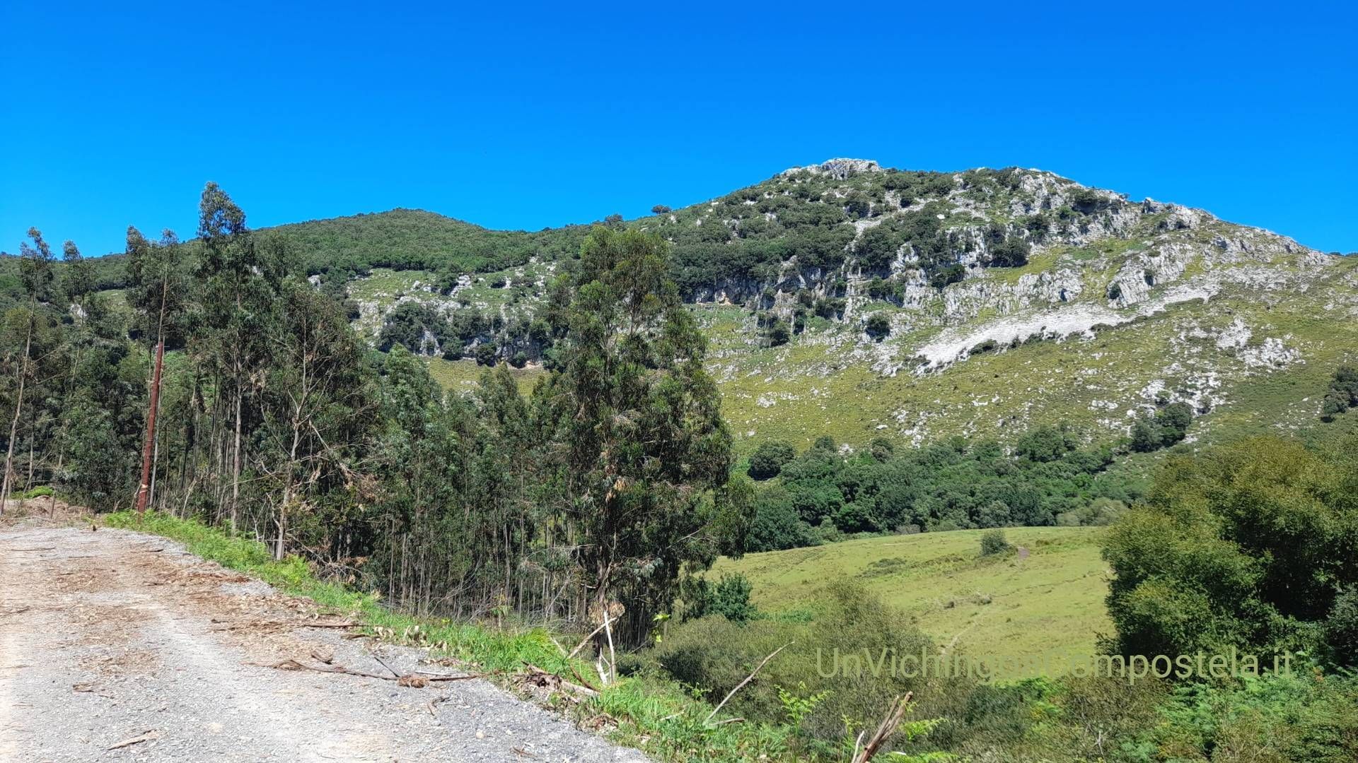 Un vichingo a compostela. Diario di viaggio di Erik, il bambino più giovane ad aver fatto il Camino del Norte