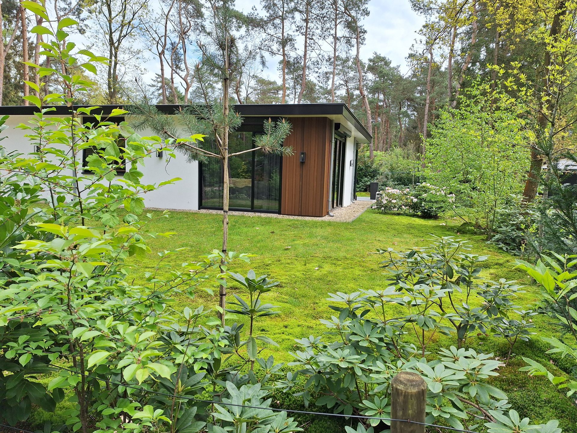 Moderne witte woning met donkere accenten en grote ramen in een weelderige groene tuin, omgeven door bomen.