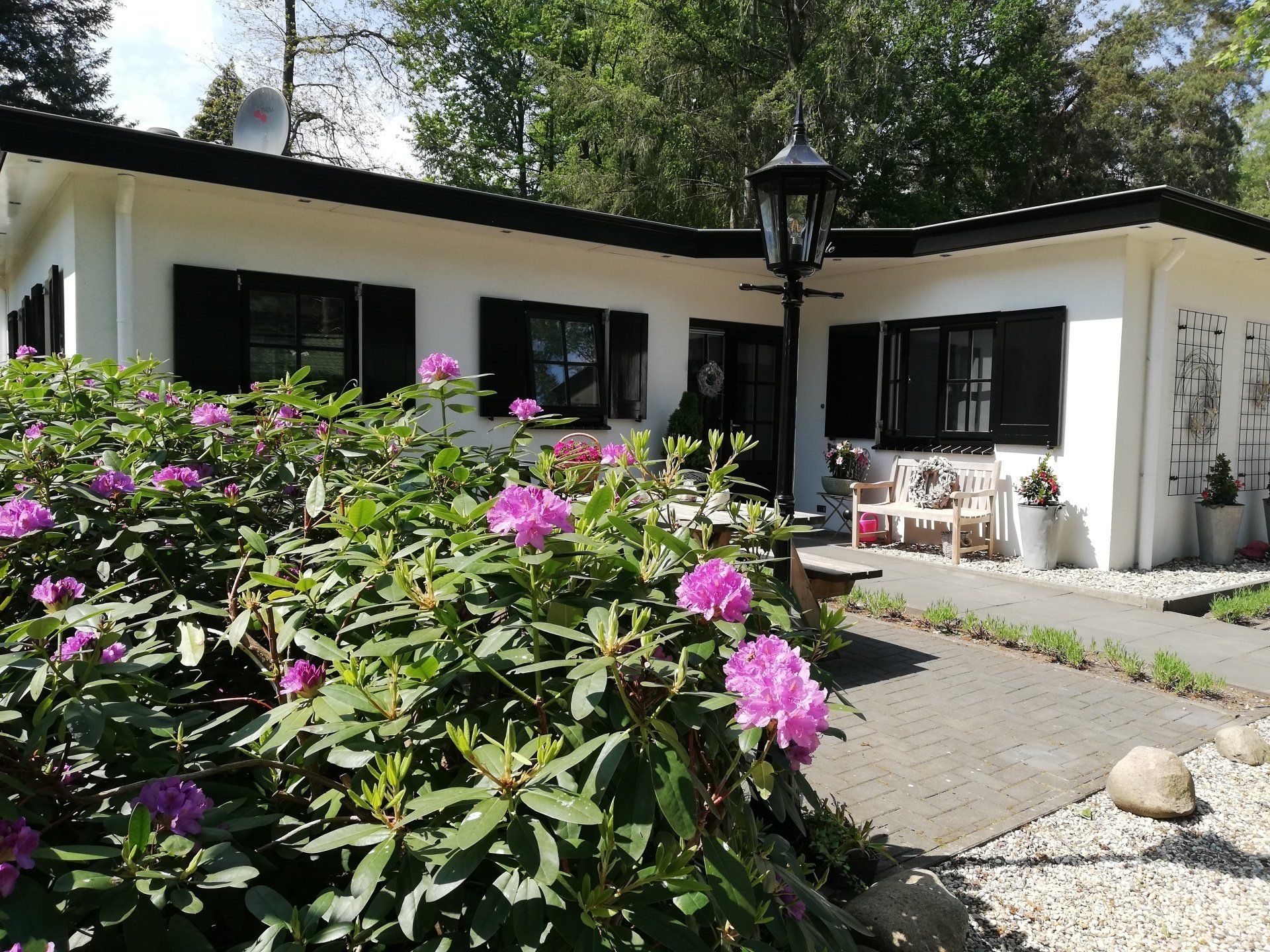 Een wit huis met zwarte luiken, roze bloemen en een lantaarnpaal op een zonnige dag.