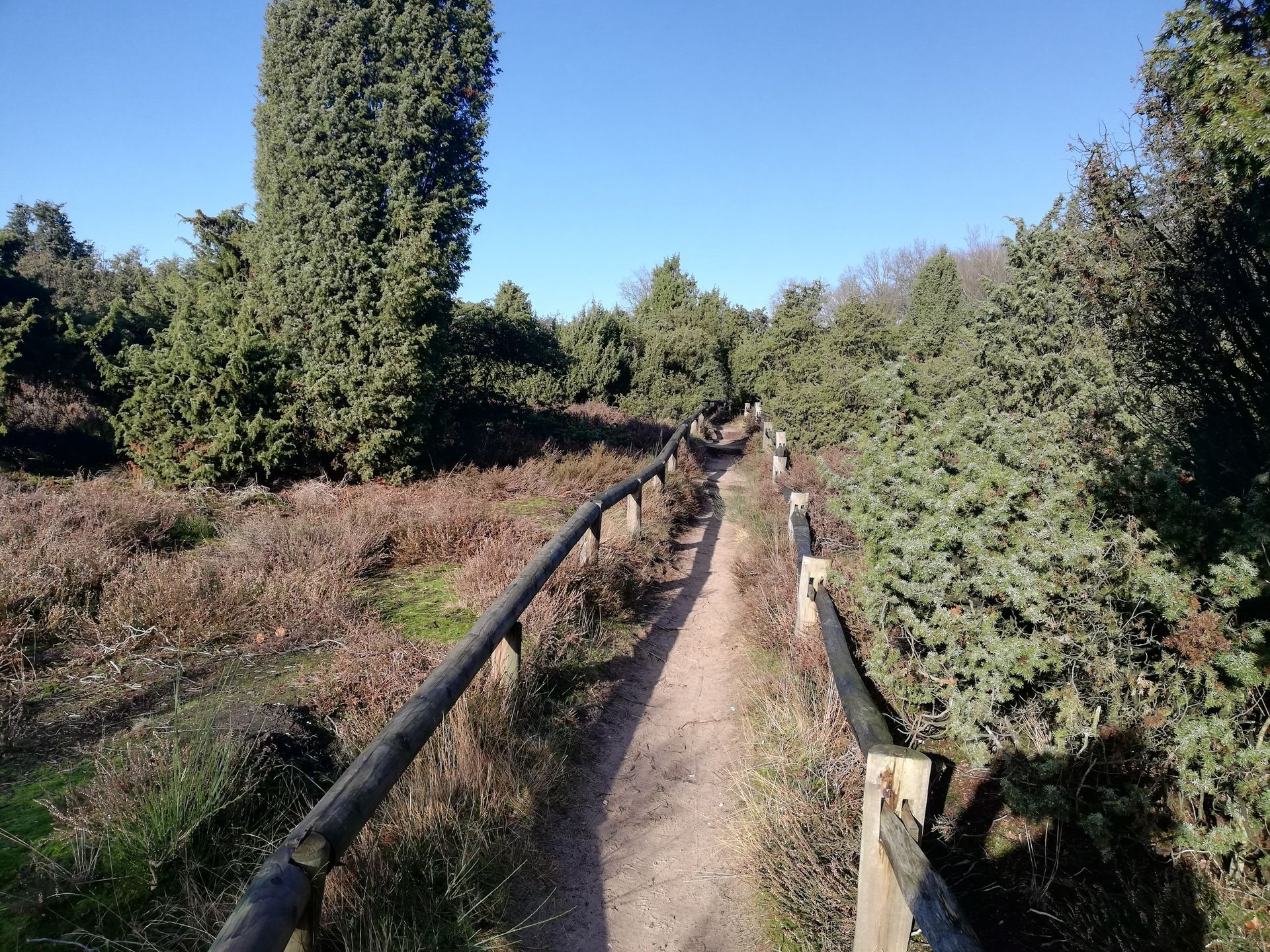 Een zandpad met houten leuningen slingert door een landschap van struiken en bomen onder een helderblauwe hemel.