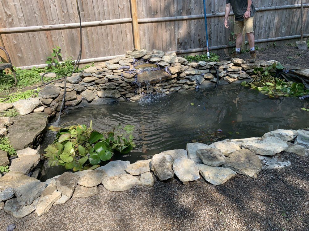 A man is standing next to a pond in a backyard.