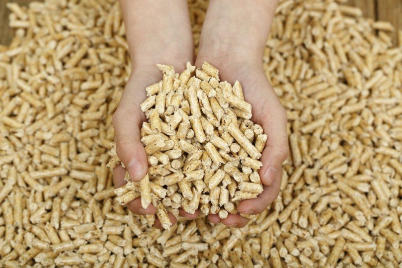 Due mani che stringono tra loro una pila di pellet di legno chiaro, sullo sfondo di altri pellet.