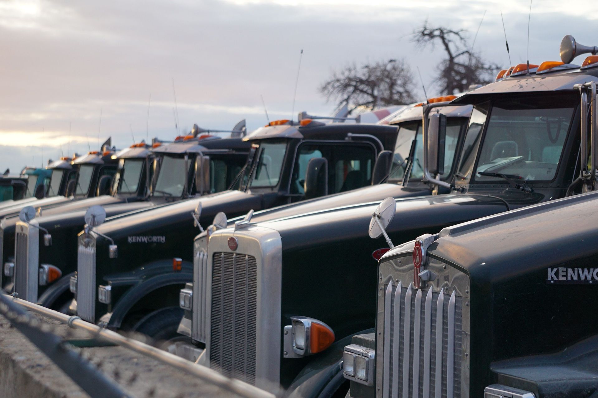 Row of parked black semi trucks with chrome grilles in a snowy lot
