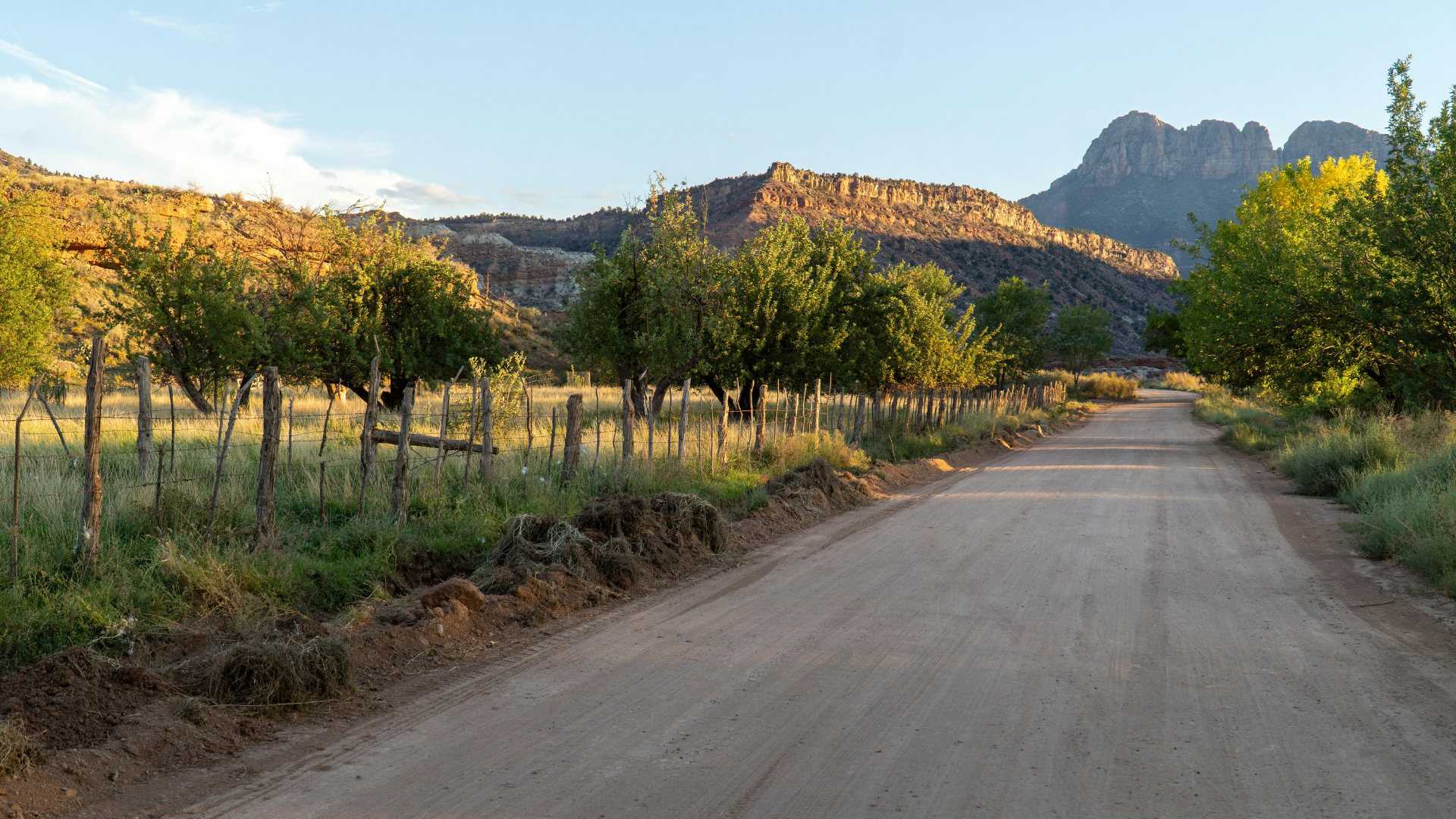 Dirt road through an orchard with trees and mountains in warm evening light