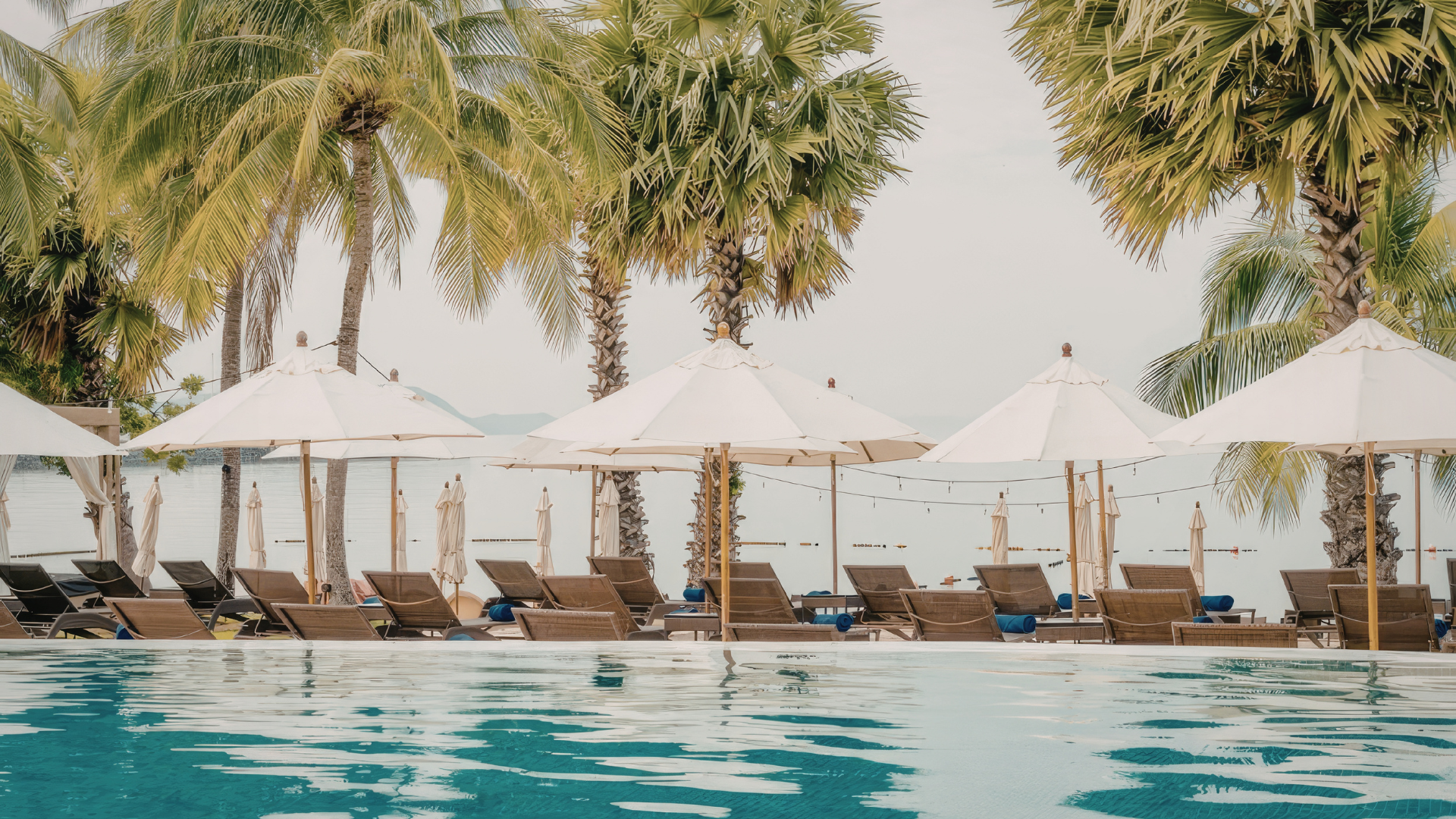 Palm-lined resort pool with white umbrellas and lounge chairs beside turquoise water.