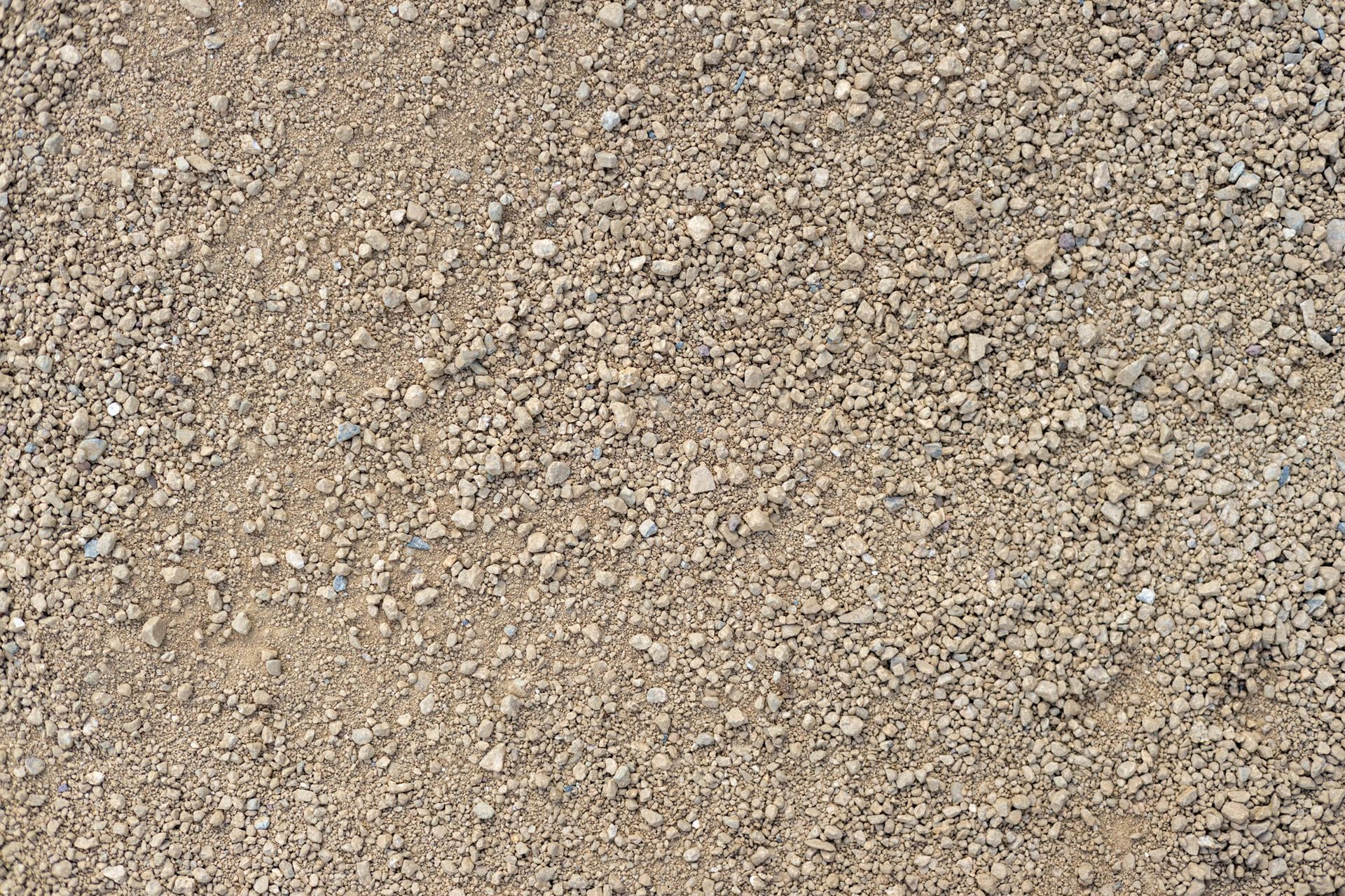 Campo Gold DG