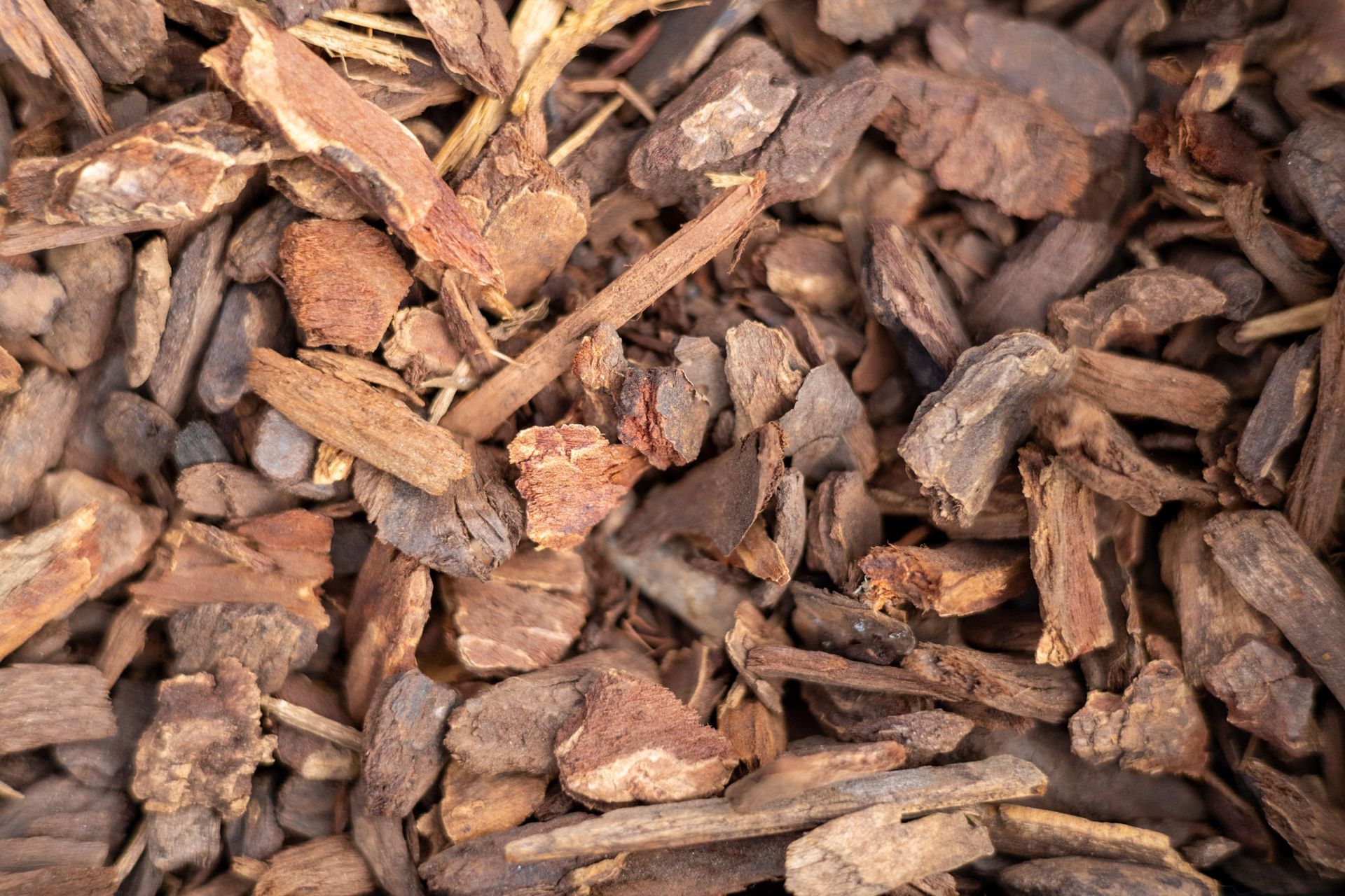 Medium Bark