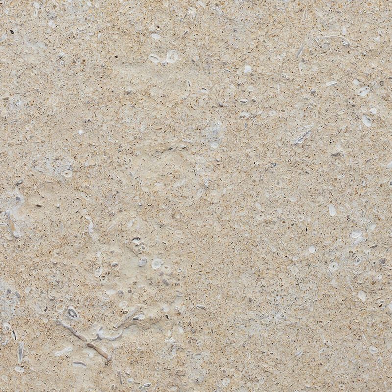 Shellstone Cream Brushed finish