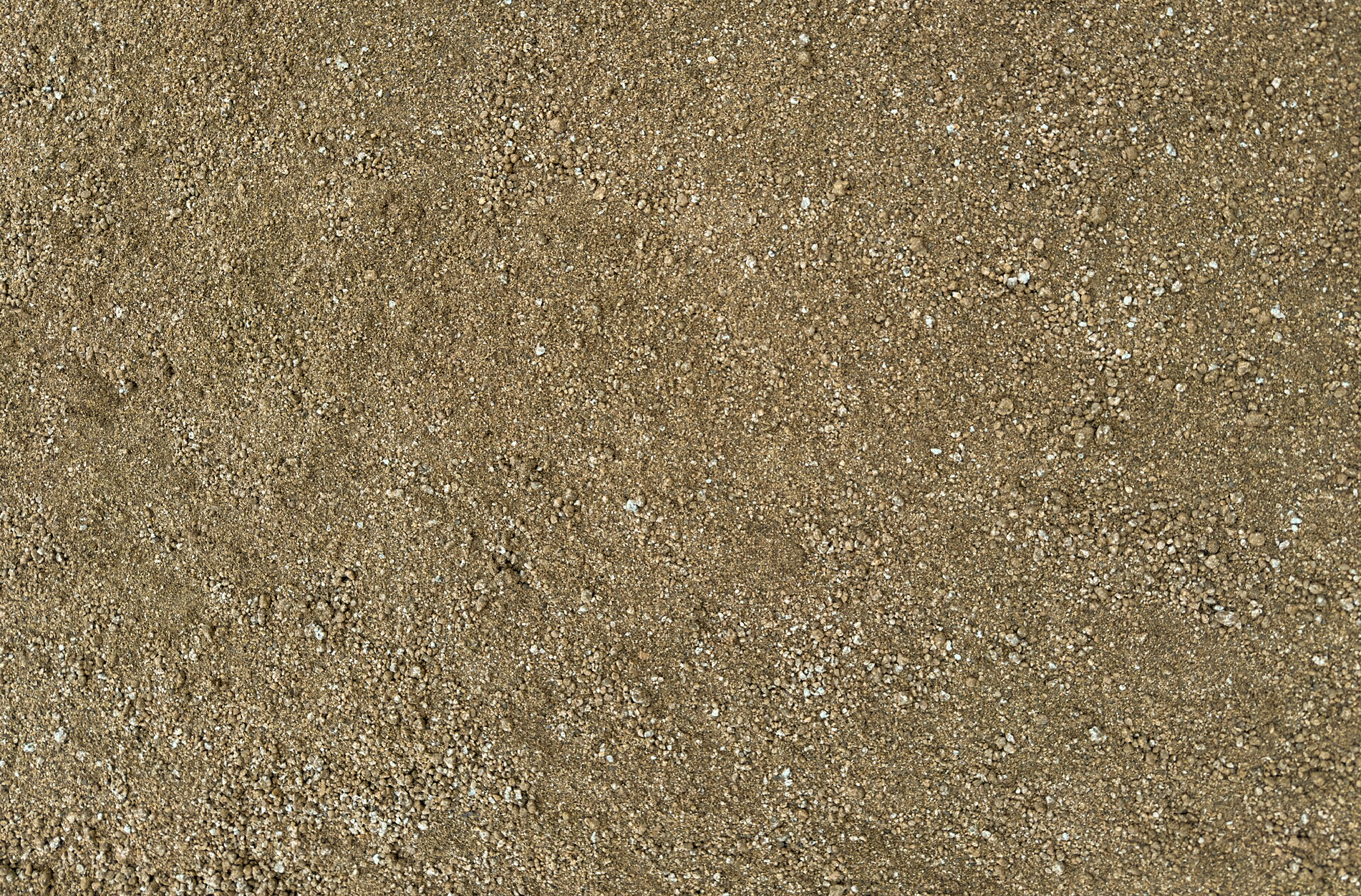 Desert Gold DG