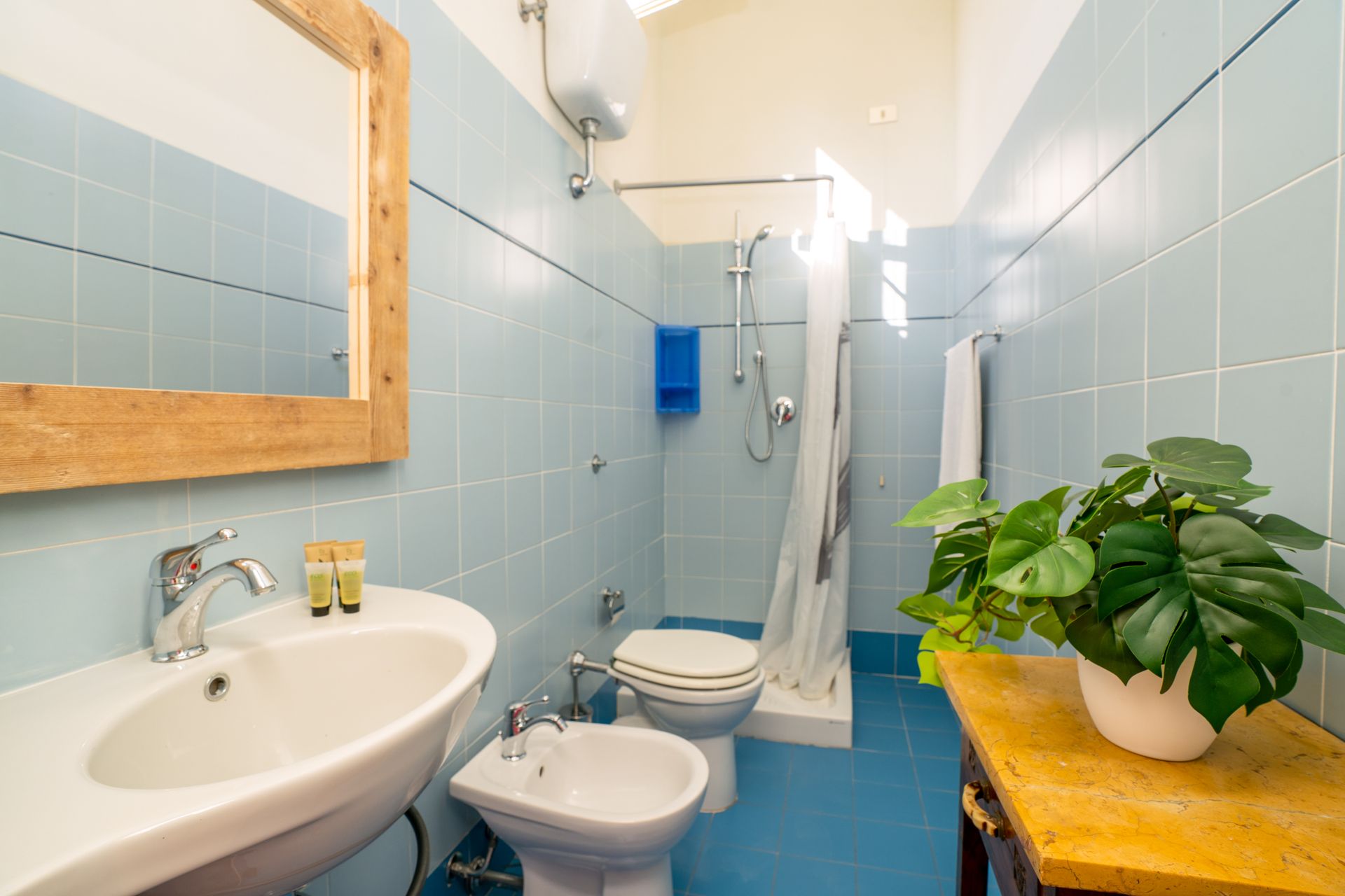 Blue-tiled bathroom with a sink, toilet, bidet, shower, and a potted plant on a yellow table.