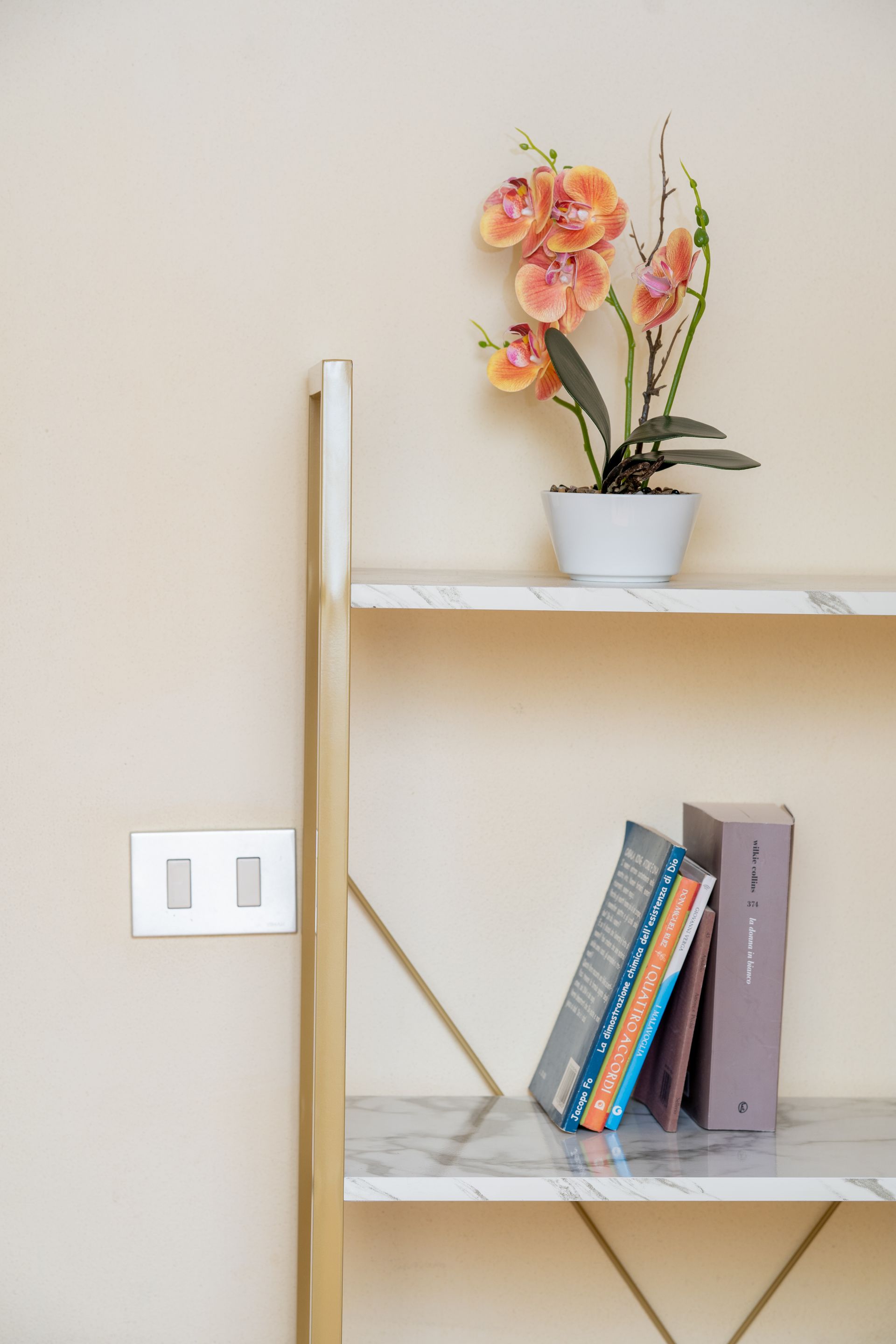 Shelving unit with faux orchid in a white pot, and books. Light beige wall with a light switch.