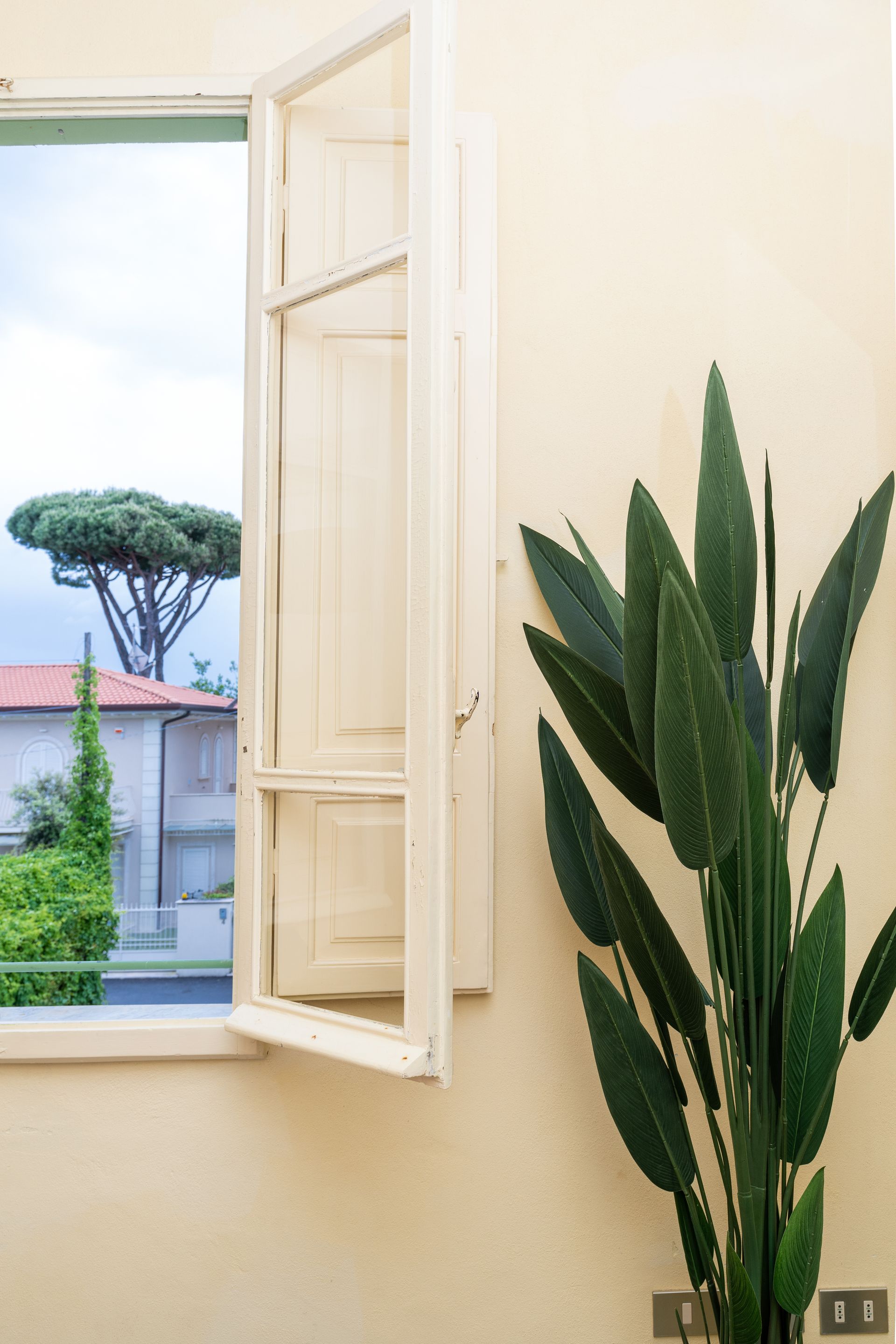 Open window overlooking buildings and trees, next to a large potted plant.
