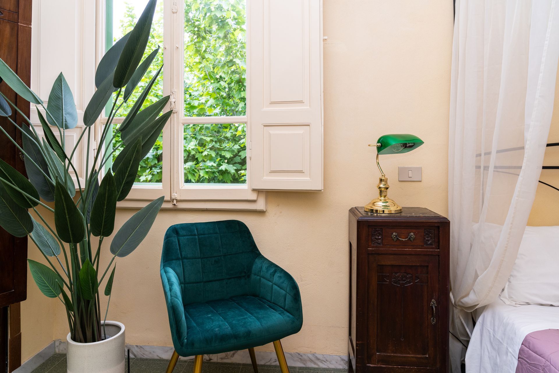 A teal velvet armchair and a tall potted plant beside a window with white shutters.