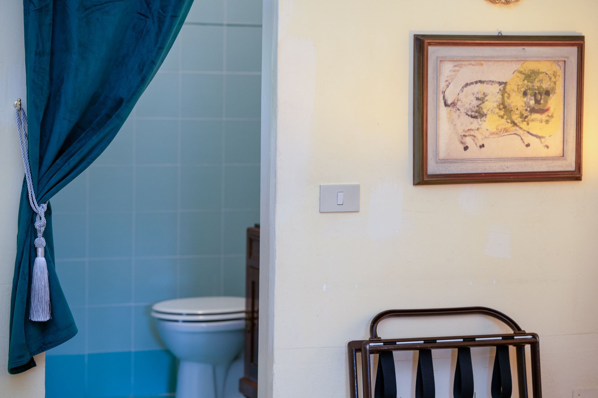 Bathroom doorway with teal curtain, toilet, and artwork. Luggage rack and light switch on adjacent wall.