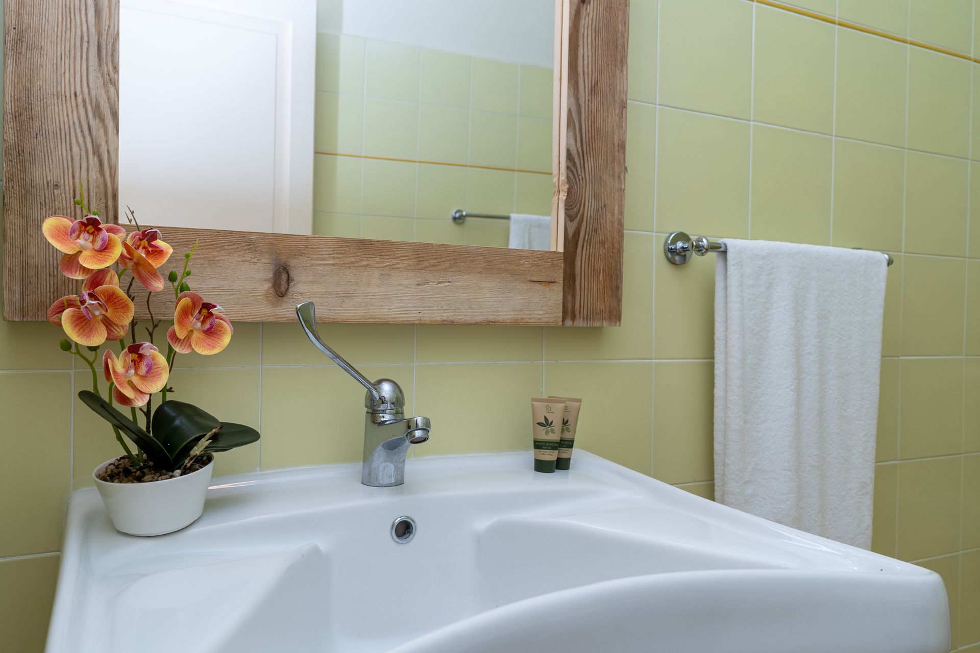 Bathroom sink with mirror, towel rack, and decorative plant in front of light green tiled wall.