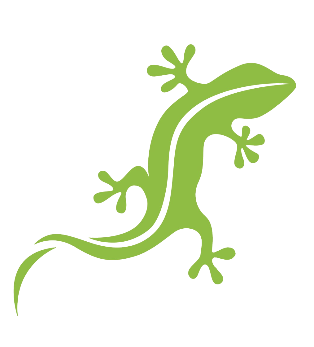 Green gecko illustration.