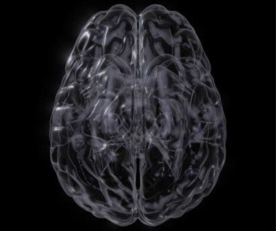 A close up of a human brain on a black background.