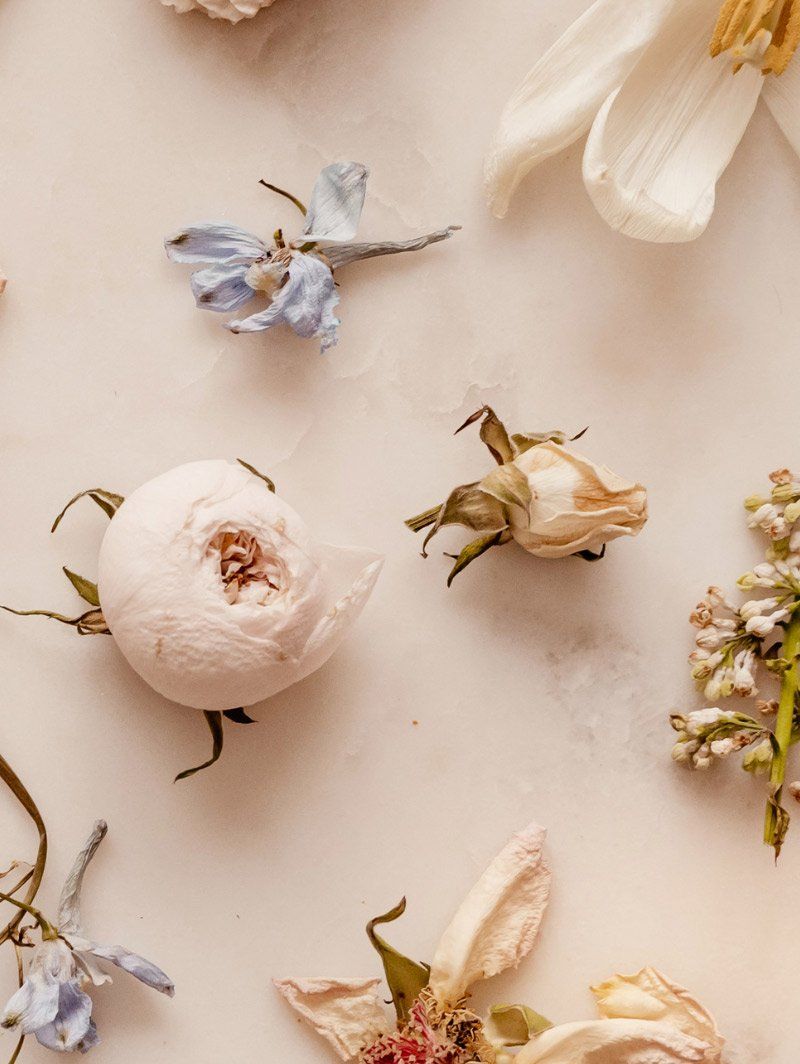 floral image