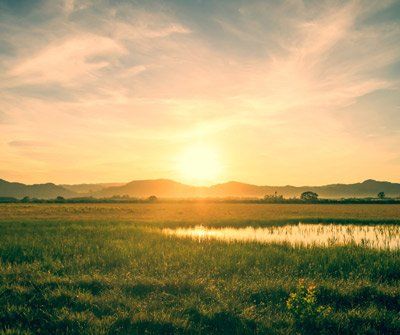 Golden sunset over a grassy field with a body of water and distant mountains.