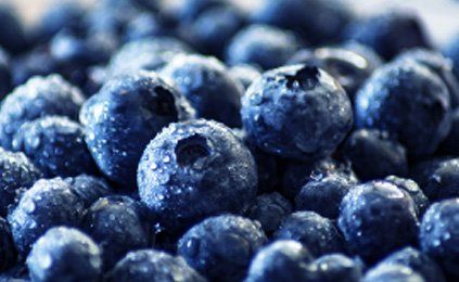 A close up of a pile of blueberries with water drops on them.