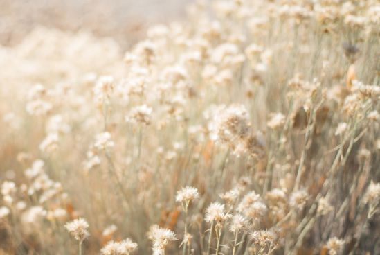Overcoming Treatment-Resistant Depression: Hope for a Brighter Tomorrow