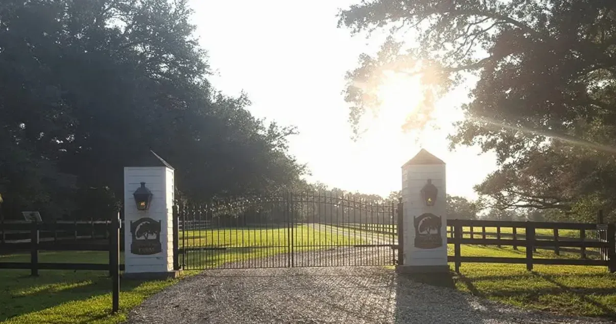 Gated entrance to a property. White columns with crests flank a black gate, with a sunlit path beyond.