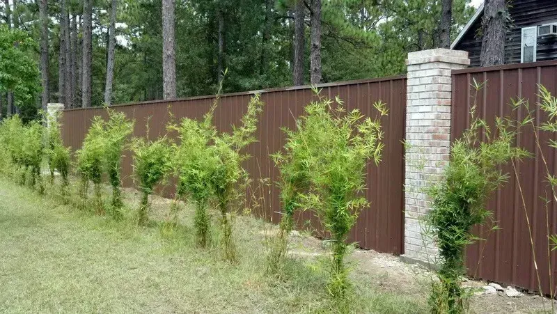 Wooden gate in a cedar fence with decorative black hardware.