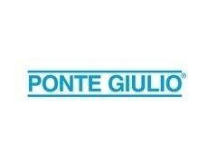 ponte giulio