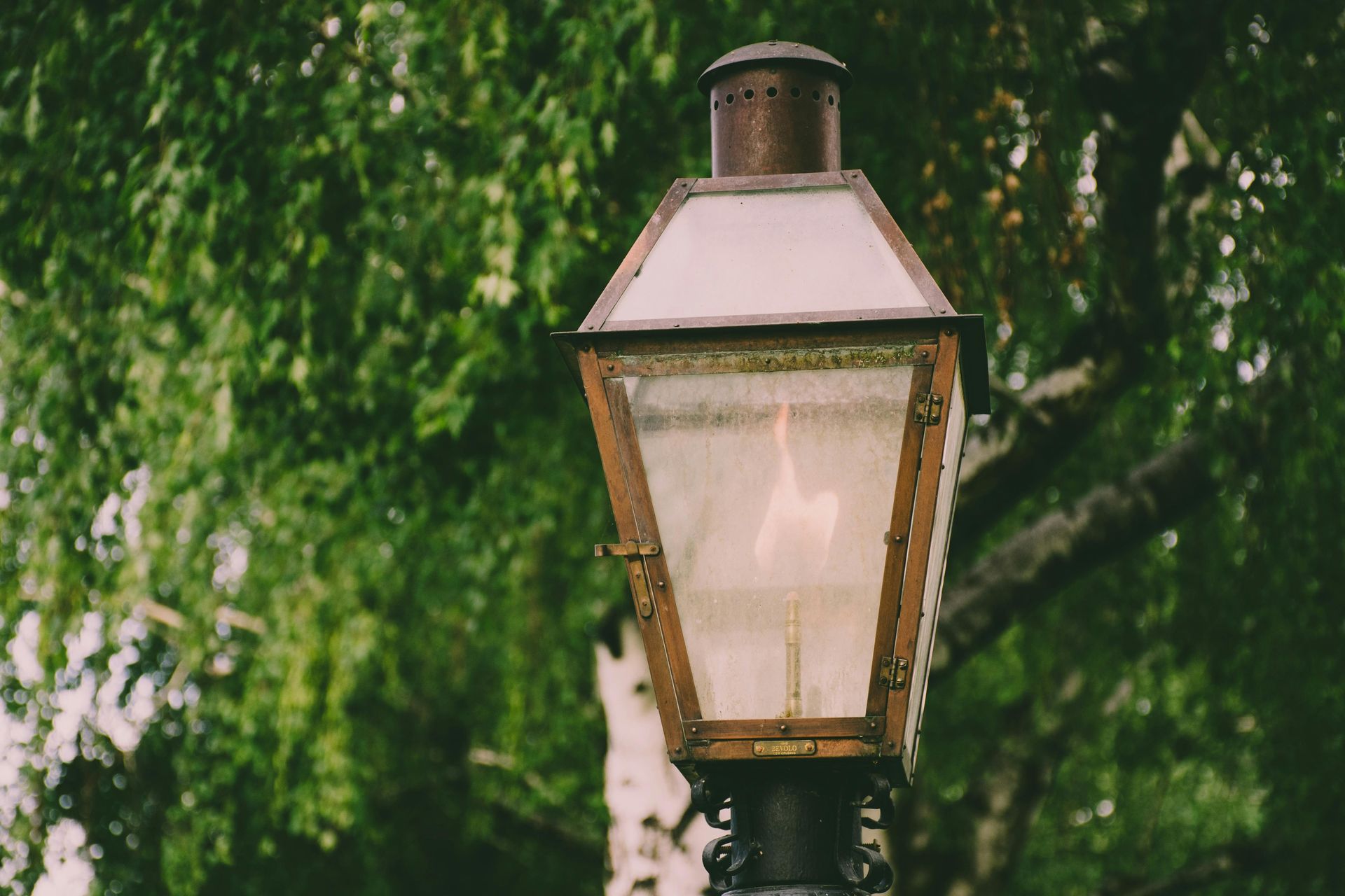 A street lamp is lit up in front of a tree.