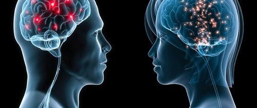 brain research