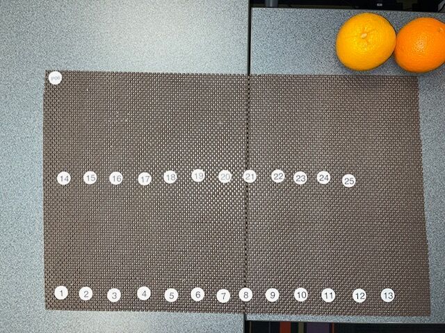 Numbered injection pad and oranges staged for 25 auto injector uses in a simulated use test