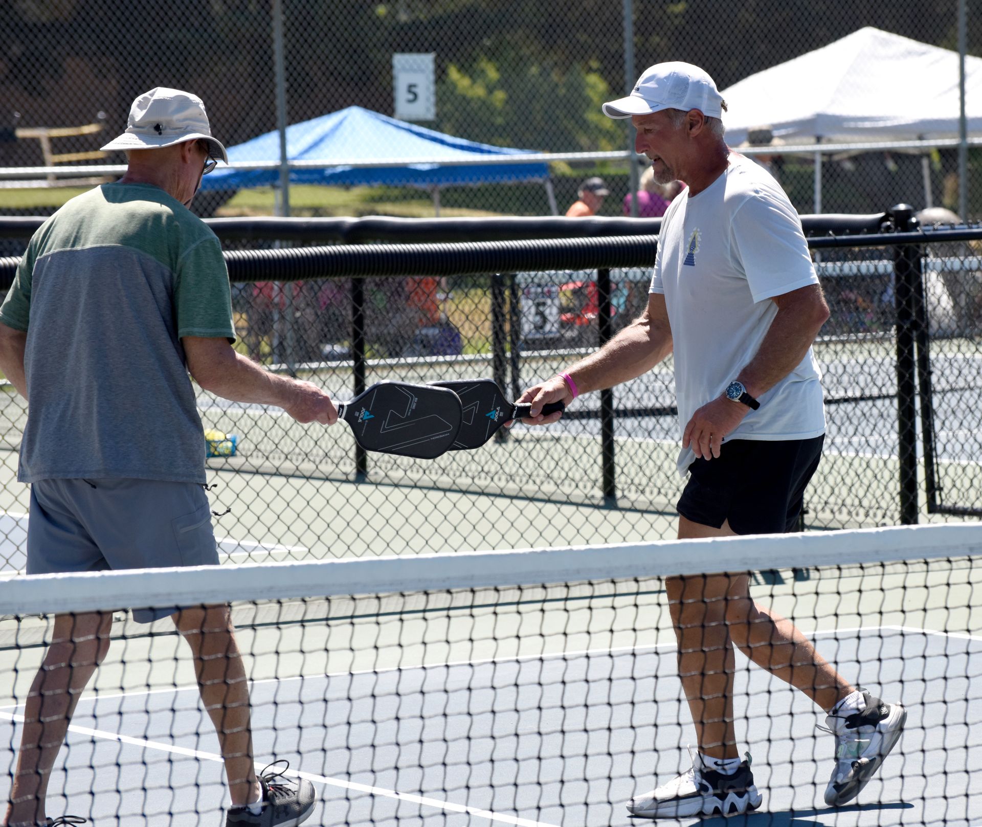 People playing pickleball on a blue court with a net, under a sunny sky near trees.