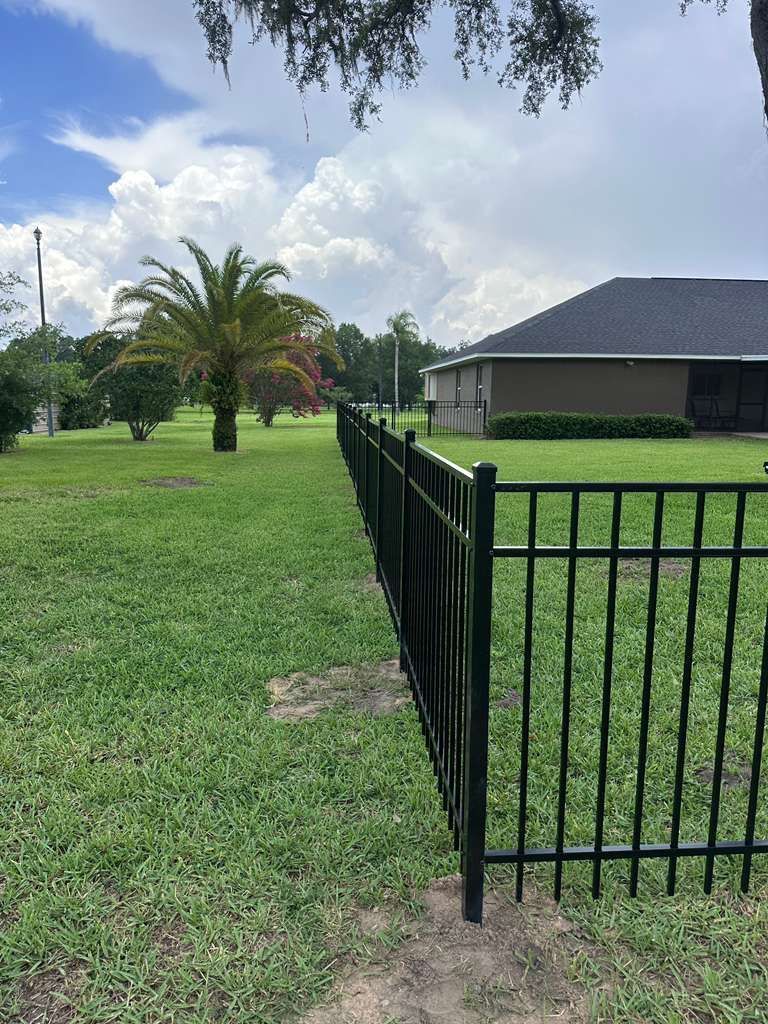 Black metal fence beside a grassy yard and palm tree, with a house in the background under a cloudy sky