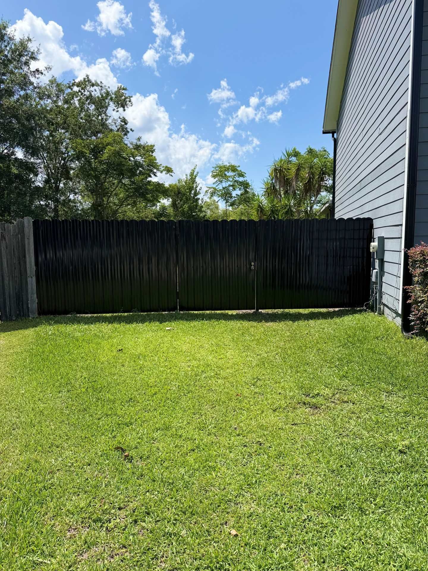 Backyard with green lawn, black fence, and the side of a gray house under a blue sky