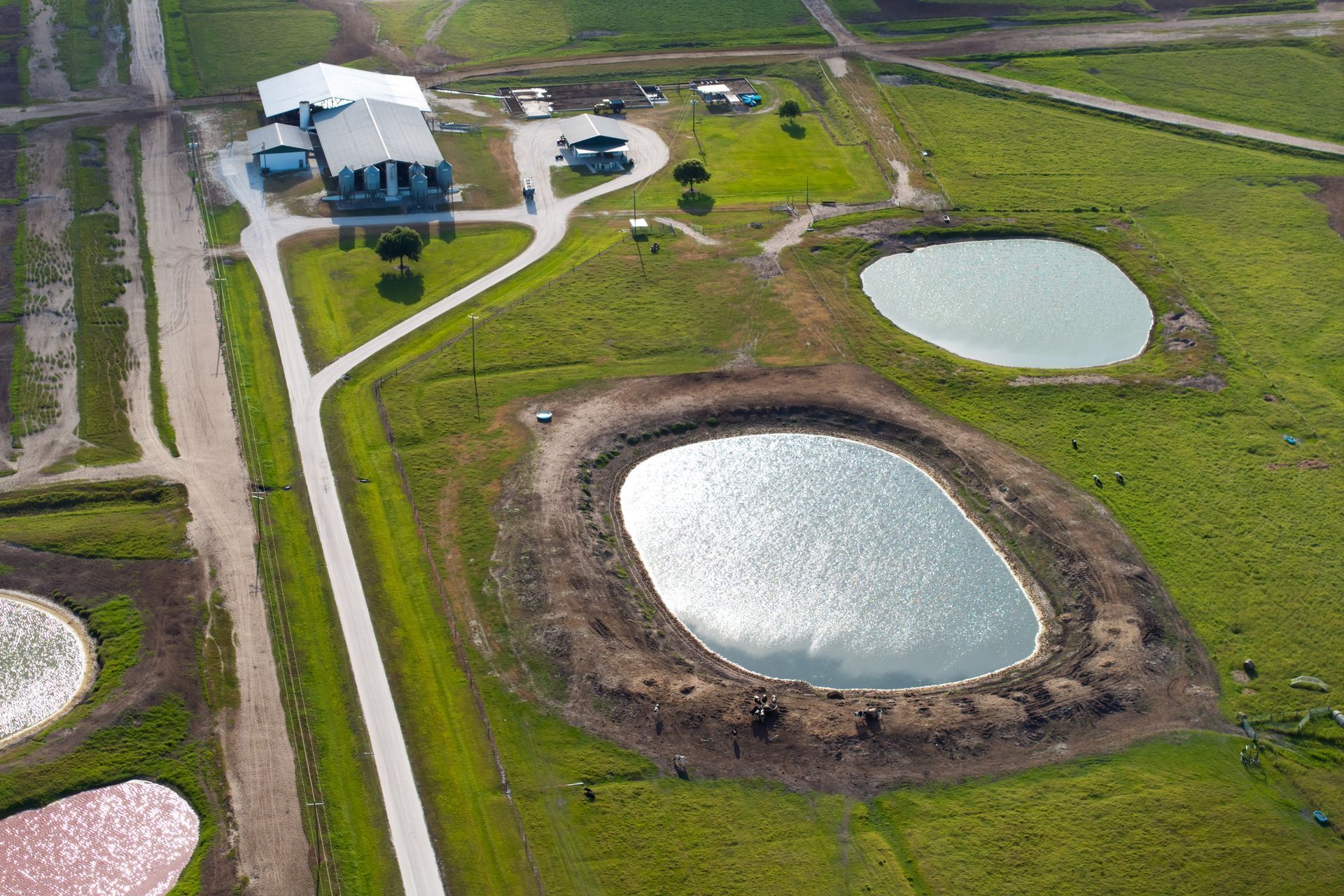 Industrial pond and lagoon cleanout with dewatering and sludge removal operations