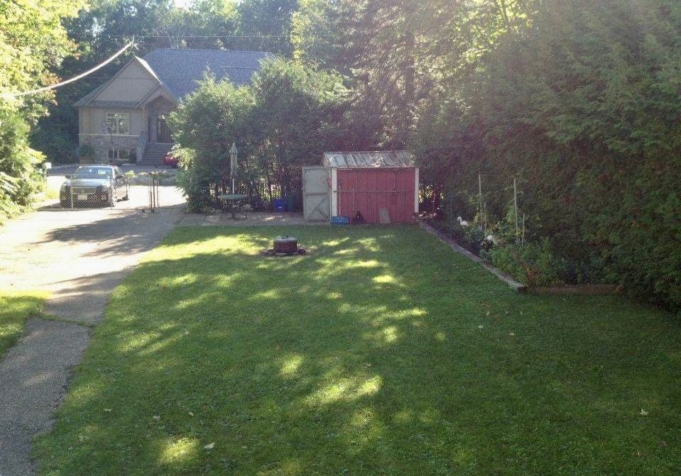 Before shot of green lawn with small shed and garden.