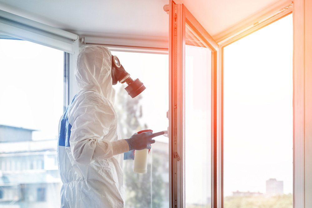 Man Doing A Mold Treatment — Cleaning Service in Yeppoon,QLD