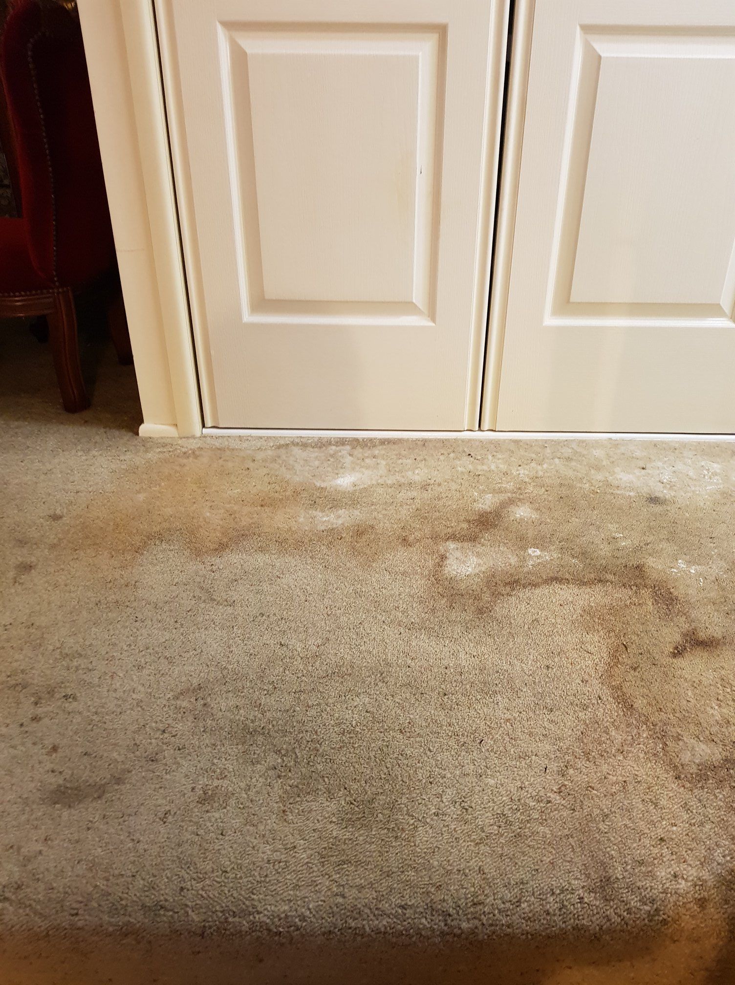 Dirty beige carpet with a large brown stain in front of white closet doors — Revive Cleaning & Restoration in Yeppoon, QLD