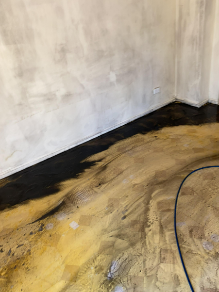 Revive Cleaning & Restoration 54