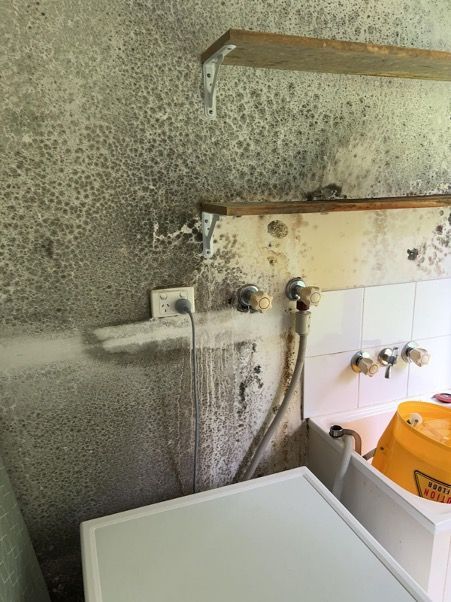 Revive Cleaning Water Damage 56553