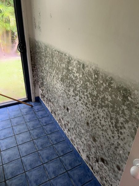 Revive Cleaning Water Damage picture 1