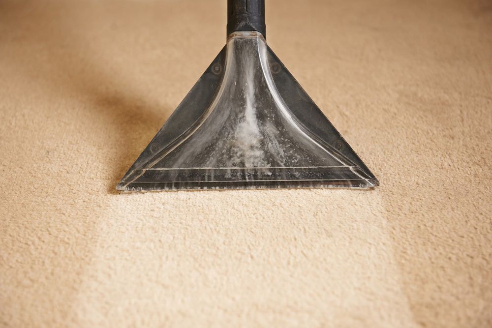 Cleaning Beige Coloured Carpet — Revive Cleaning & Restoration in Yeppoon, QLD