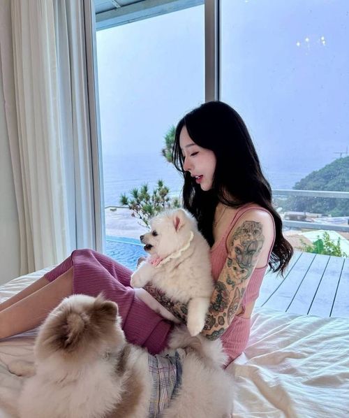 創辦人密寶與毛孩