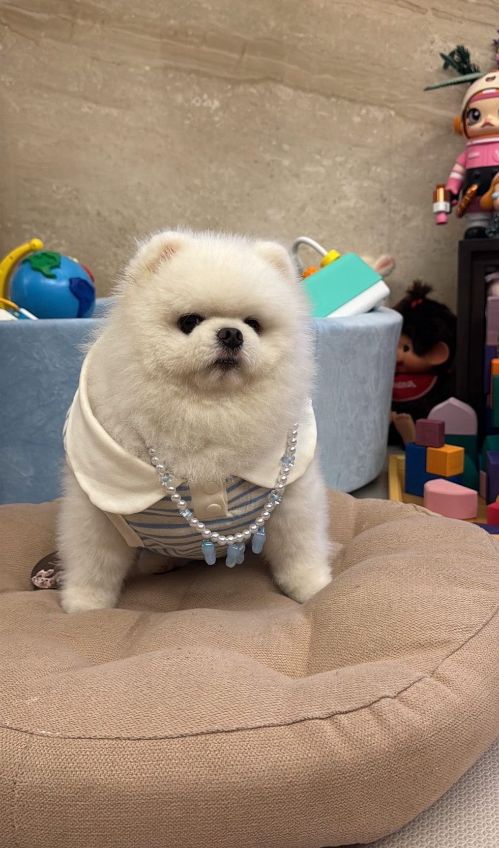 哈嚕