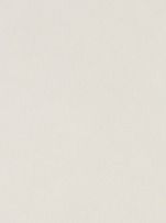 Blank off-white textured surface