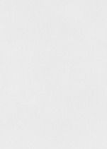 Plain white vertical rectangle with a faint gray border on the left and bottom edges