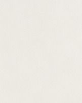 Blank off-white canvas with a subtle texture and a light beige border on the left and bottom edges