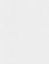 Blank white page with a light gray vertical edge on the right