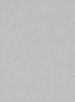 Light gray textured surface with subtle vertical grain
